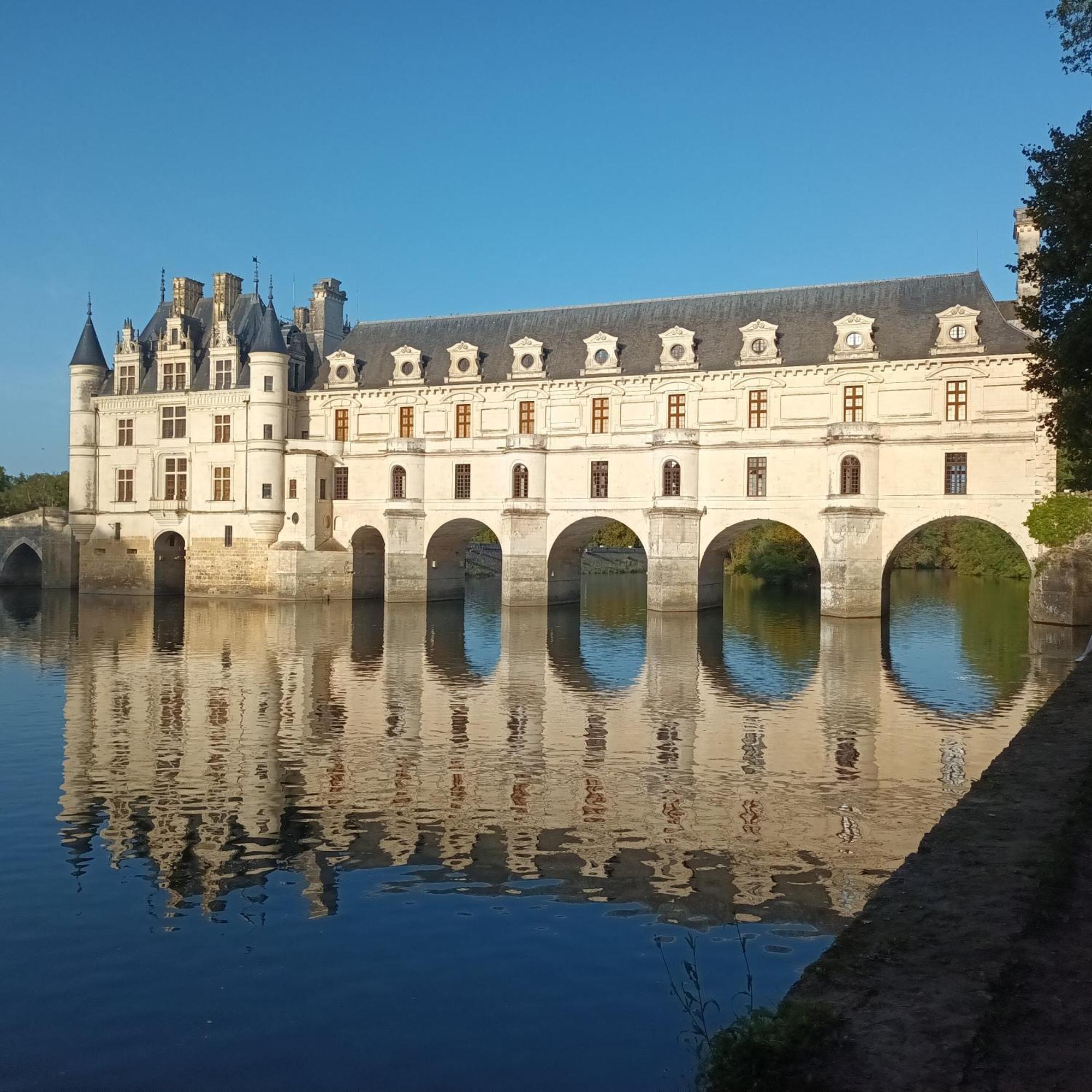 Au Nom Des Dames, Maison Et Table D'Hotes, Pres De Chenonceau Et Du Zoo De Beauval Faverolles-sur-Cher Exteriör bild